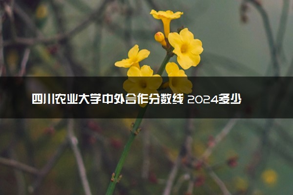 四川农业大学中外合作分数线 2024多少分可以录取