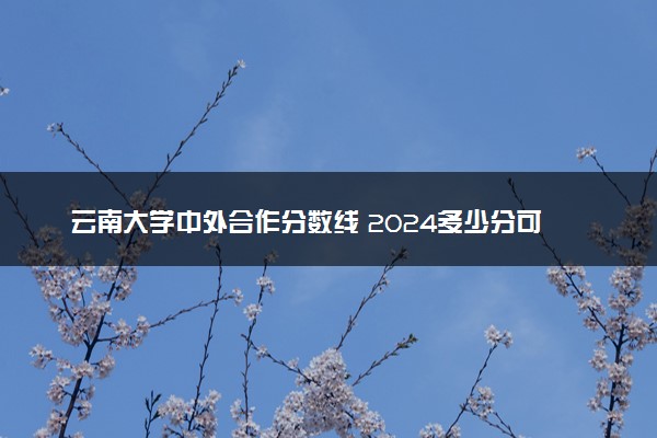 云南大学中外合作分数线 2024多少分可以录取