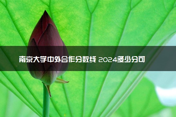 南京大学中外合作分数线 2024多少分可以录取