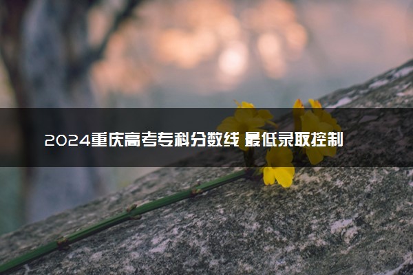 2024重庆高考专科分数线 最低录取控制线是多少