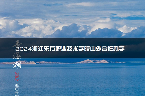 2024浙江东方职业技术学院中外合作办学专业学费多少钱