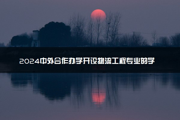 2024中外合作办学开设物流工程专业的学校有什么