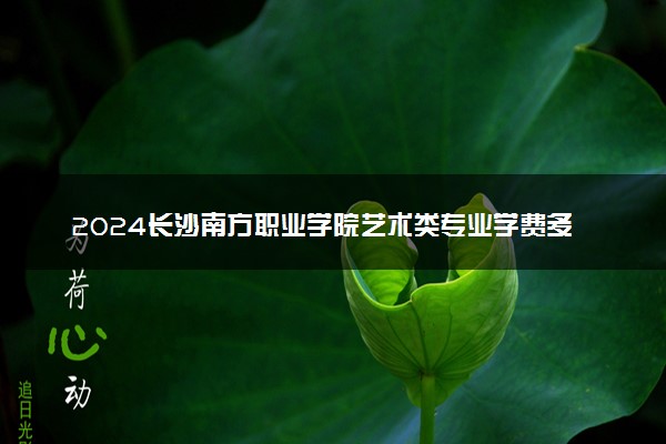 2024长沙南方职业学院艺术类专业学费多少钱一年 各专业收费标准