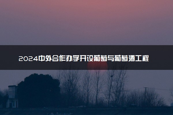 2024中外合作办学开设葡萄与葡萄酒工程专业的学校有什么