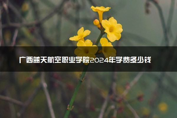 广西蓝天航空职业学院2024年学费多少钱 一年各专业收费标准