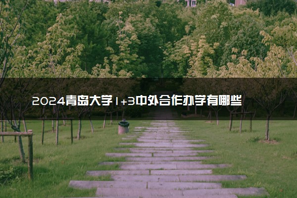 2024青岛大学1+3中外合作办学有哪些专业 毕业证一样吗