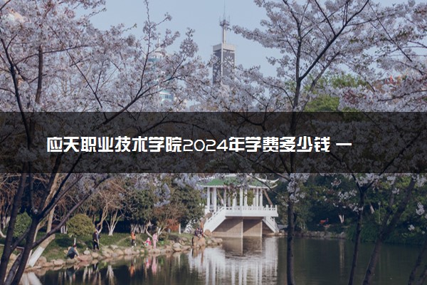 应天职业技术学院2024年学费多少钱 一年各专业收费标准