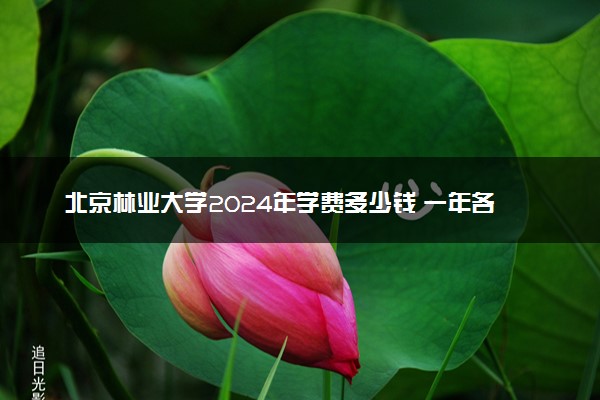 北京林业大学2024年学费多少钱 一年各专业收费标准