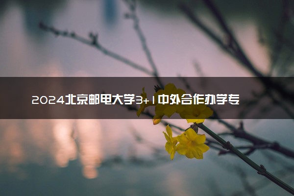 2024北京邮电大学3+1中外合作办学专业怎么样