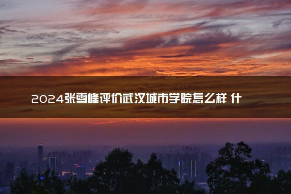 2024张雪峰评价武汉城市学院怎么样 什么档次多少分能上