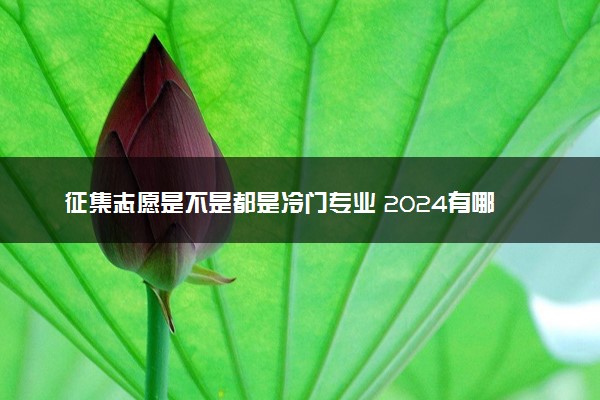 征集志愿是不是都是冷门专业 2024有哪些专业