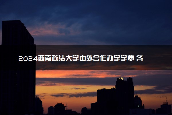 2024西南政法大学中外合作办学学费 各专业最新收费标准