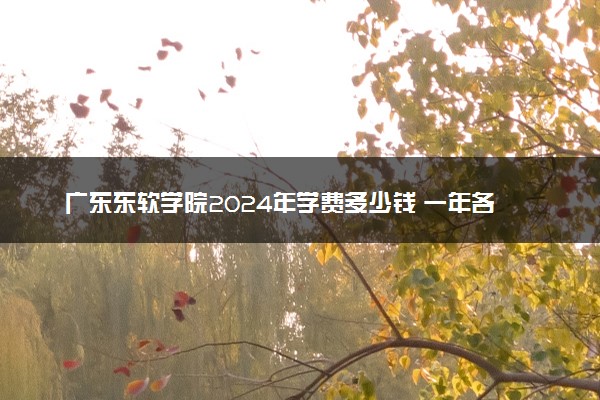 广东东软学院2024年学费多少钱 一年各专业收费标准