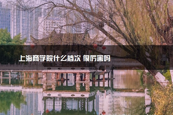 上海商学院什么档次 很厉害吗
