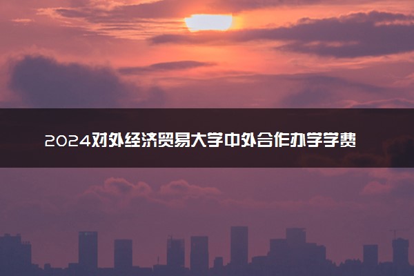 2024对外经济贸易大学中外合作办学学费多少