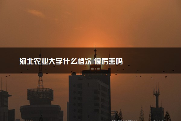 河北农业大学什么档次 很厉害吗