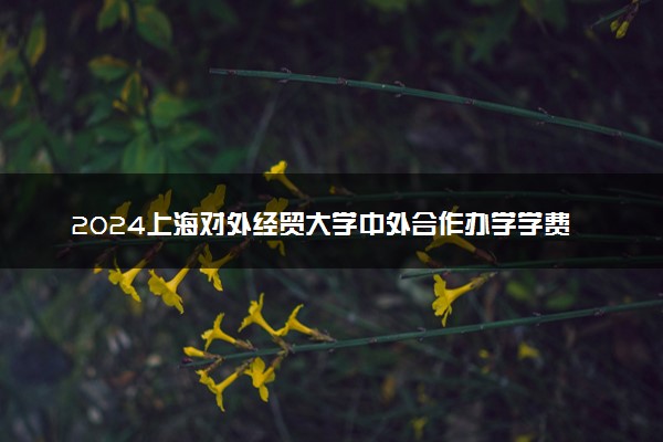 2024上海对外经贸大学中外合作办学学费 各专业最新收费标准