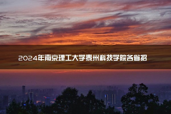 2024年南京理工大学泰州科技学院各省招生计划及招生人数 都招什么专业