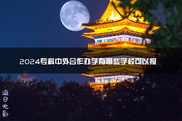 2024专科中外合作办学有哪些学校可以报 项目怎么样