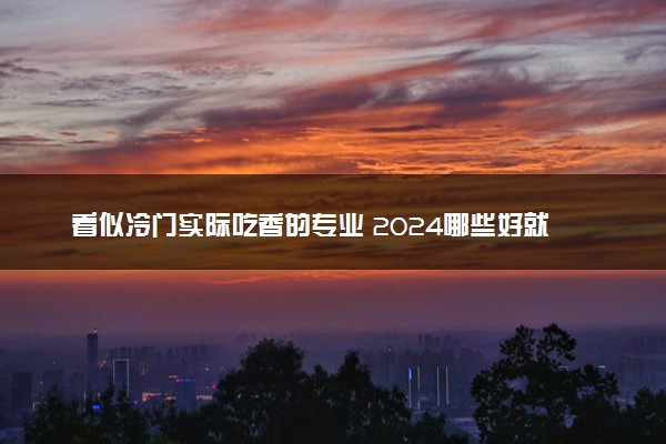 看似冷门实际吃香的专业 2024哪些好就业