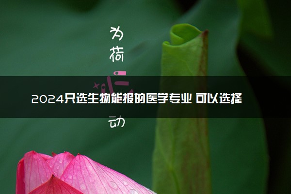 2024只选生物能报的医学专业 可以选择哪些专业