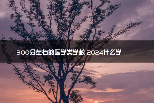 300分左右的医学类学校 2024什么学校好考