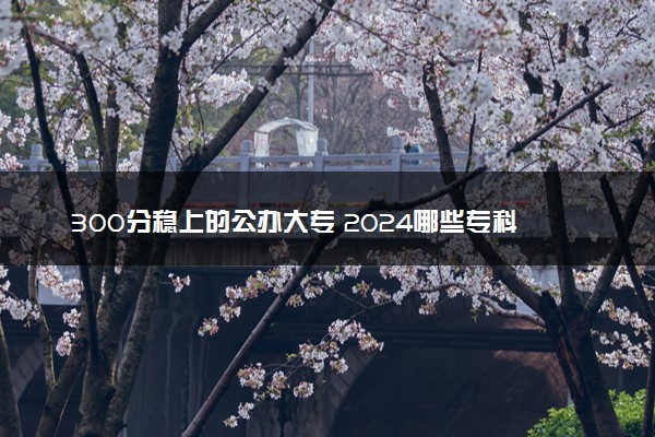 300分稳上的公办大专 2024哪些专科院校值得报考