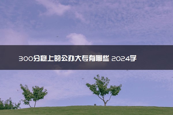 300分稳上的公办大专有哪些 2024学校名单整理