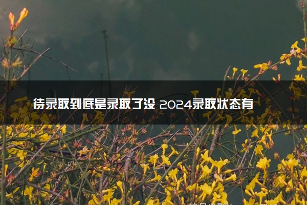 待录取到底是录取了没 2024录取状态有哪些