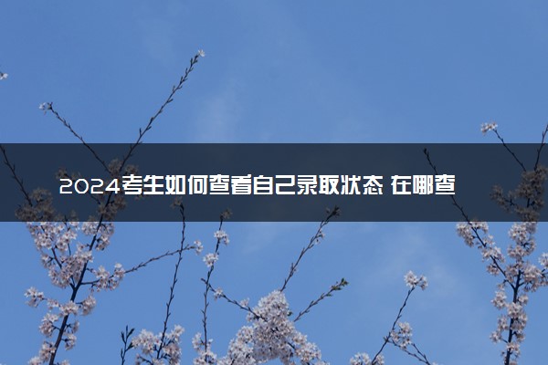 2024考生如何查看自己录取状态 在哪查询