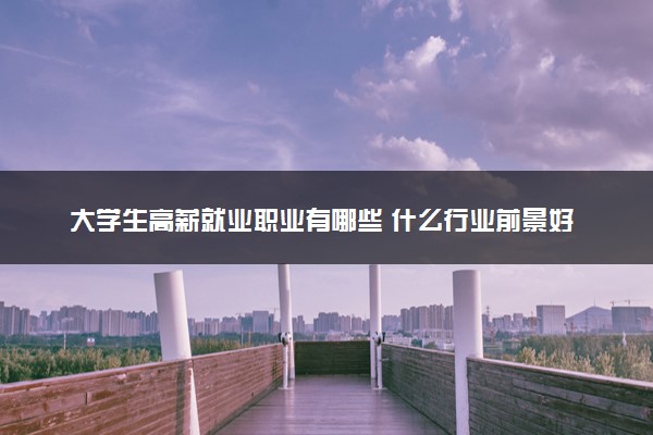 大学生高薪就业职业有哪些 什么行业前景好