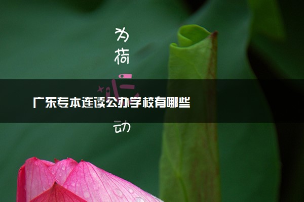 广东专本连读公办学校有哪些