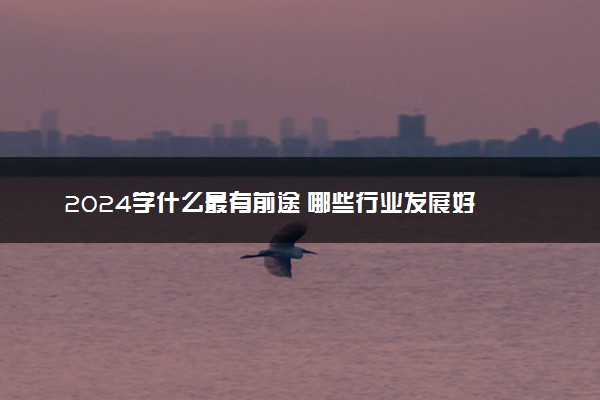 2024学什么最有前途 哪些行业发展好