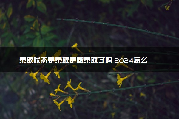 录取状态是录取是被录取了吗 2024怎么查询