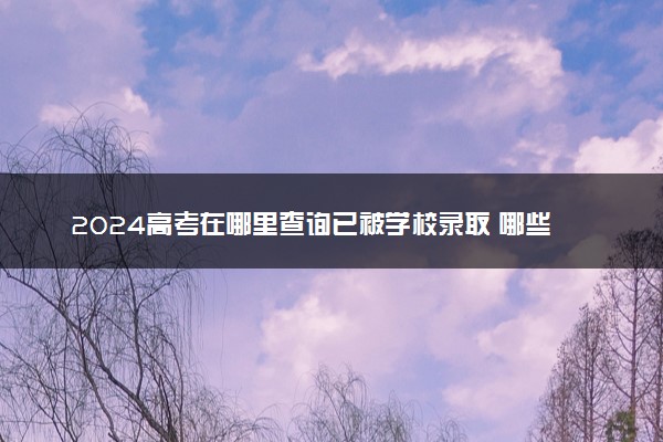 2024高考在哪里查询已被学校录取 哪些查询方法