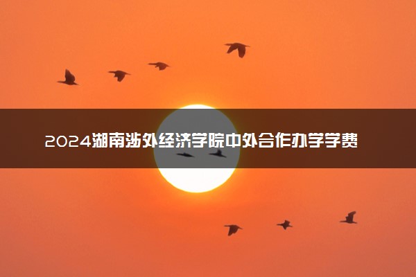 2024湖南涉外经济学院中外合作办学学费 各专业最新收费标准