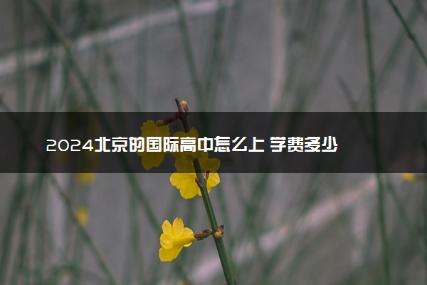 2024北京的国际高中怎么上 学费多少