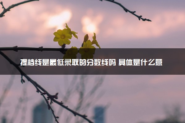 提档线是最低录取的分数线吗 具体是什么意思