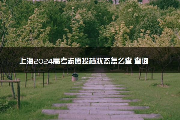 上海2024高考志愿投档状态怎么查 查询步骤及入口