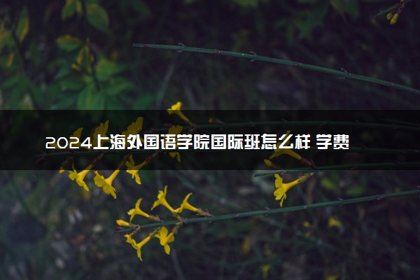 2024上海外国语学院国际班怎么样 学费多少