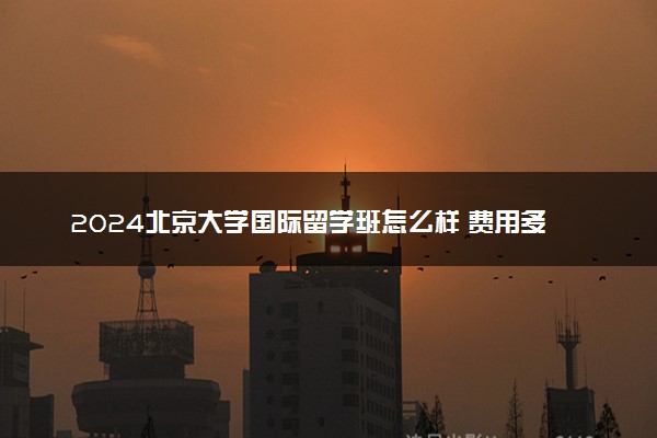 2024北京大学国际留学班怎么样 费用多少