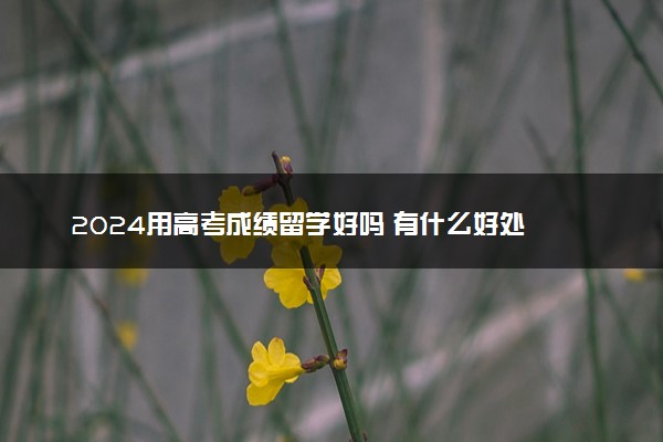 2024用高考成绩留学好吗 有什么好处