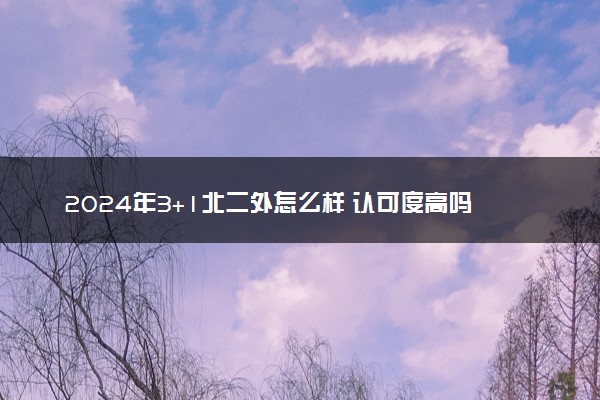 2024年3+1北二外怎么样 认可度高吗