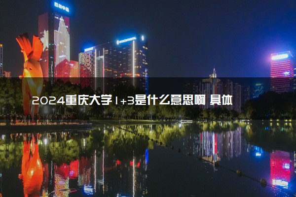 2024重庆大学1+3是什么意思啊 具体详细解读