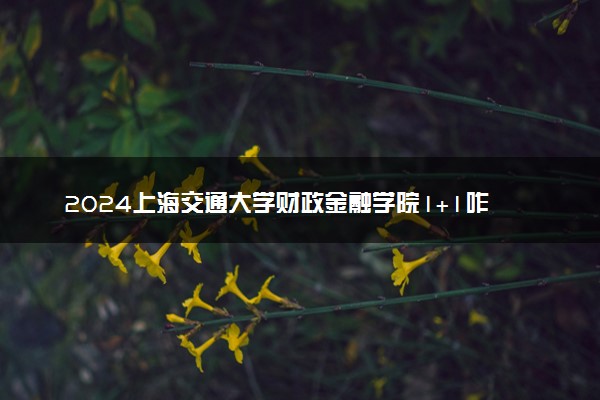 2024上海交通大学财政金融学院1+1咋样 含金量高吗