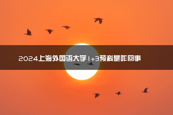 2024上海外国语大学1+3预科是咋回事 靠谱吗