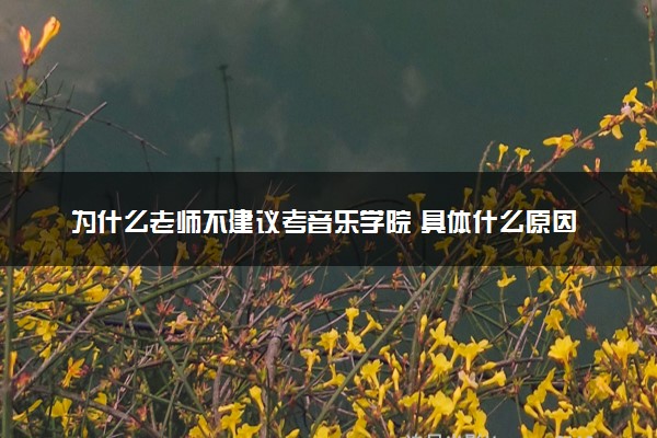 为什么老师不建议考音乐学院 具体什么原因