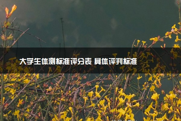 大学生体测标准评分表 具体评判标准