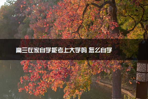 高三在家自学能考上大学吗 怎么自学