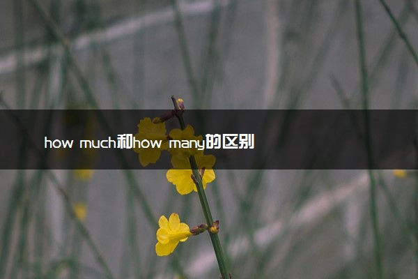 how much和how many的区别是什么 有什么不同